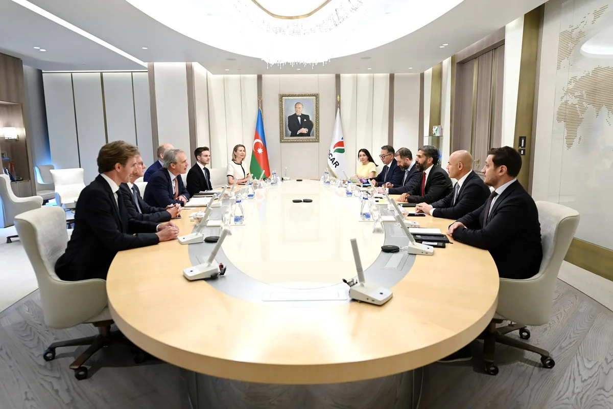 SOCAR mulls global energy market trends, new projects with Wood Mackenzie