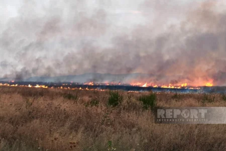 Пожар на открытой территории в селе Сарыджалы потушен - ОБНОВЛЕНО