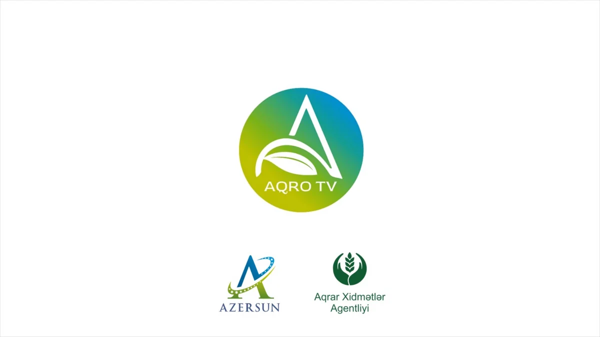 Azərsun Holdinq və Aqrar Xidmətlər Agentliyi sosial layihə reallaşdırıb
