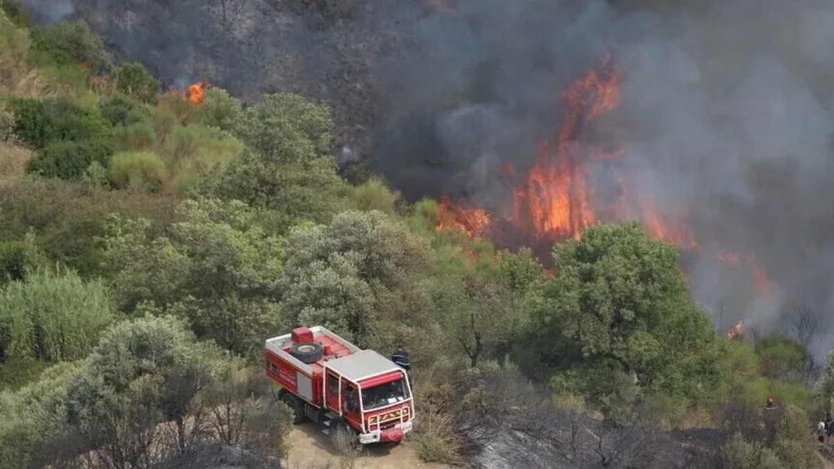 At least 6 dead in Algeria wildfires