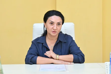 Emin Əmrullayev Saatlıda vətəndaşları qəbul edib