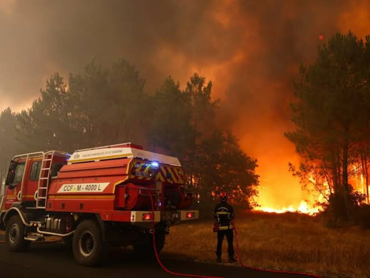 Wildfires burn nearly 50,000 hectares across France