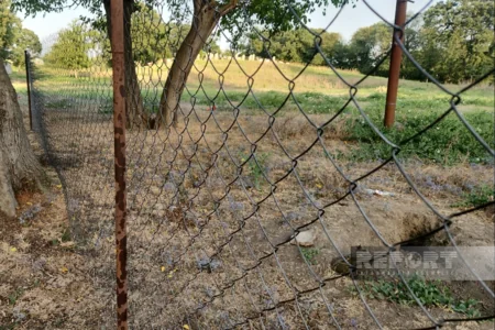 Cəlilabadda park tikintisi zamanı qədim əşyalar tapılan ərazi nəzarətə götürülüb