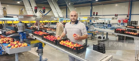 Aqrar Kredit və İnkişaf Agentliyi şimal bölgəsindəki aqrar layihələri mediaya təqdim edib