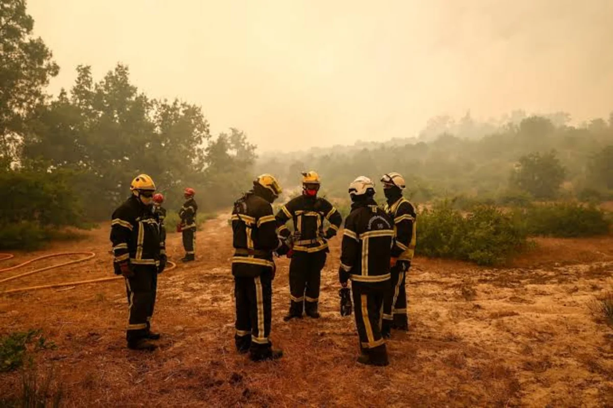 5 killed, 3 injured after house buried by loess collapse in north China