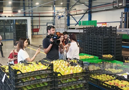 Aqrar Kredit və İnkişaf Agentliyi şimal bölgəsindəki aqrar layihələri mediaya təqdim edib
