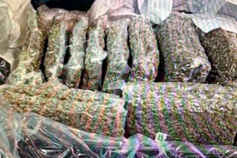 В аэропорту Алматы обнаружили зараженную продукцию из Нидерландов и Армении