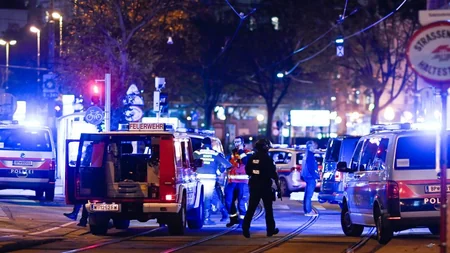 Berlindəki terror aktı - miqrantlara qarşı yeni təbliğat - ŞƏRH