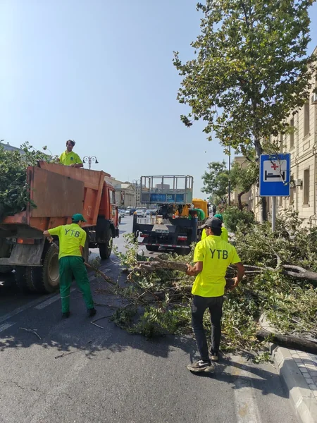 Bakıda güclü külək 7 ağacı aşırıb, 22 budağı sındırıb