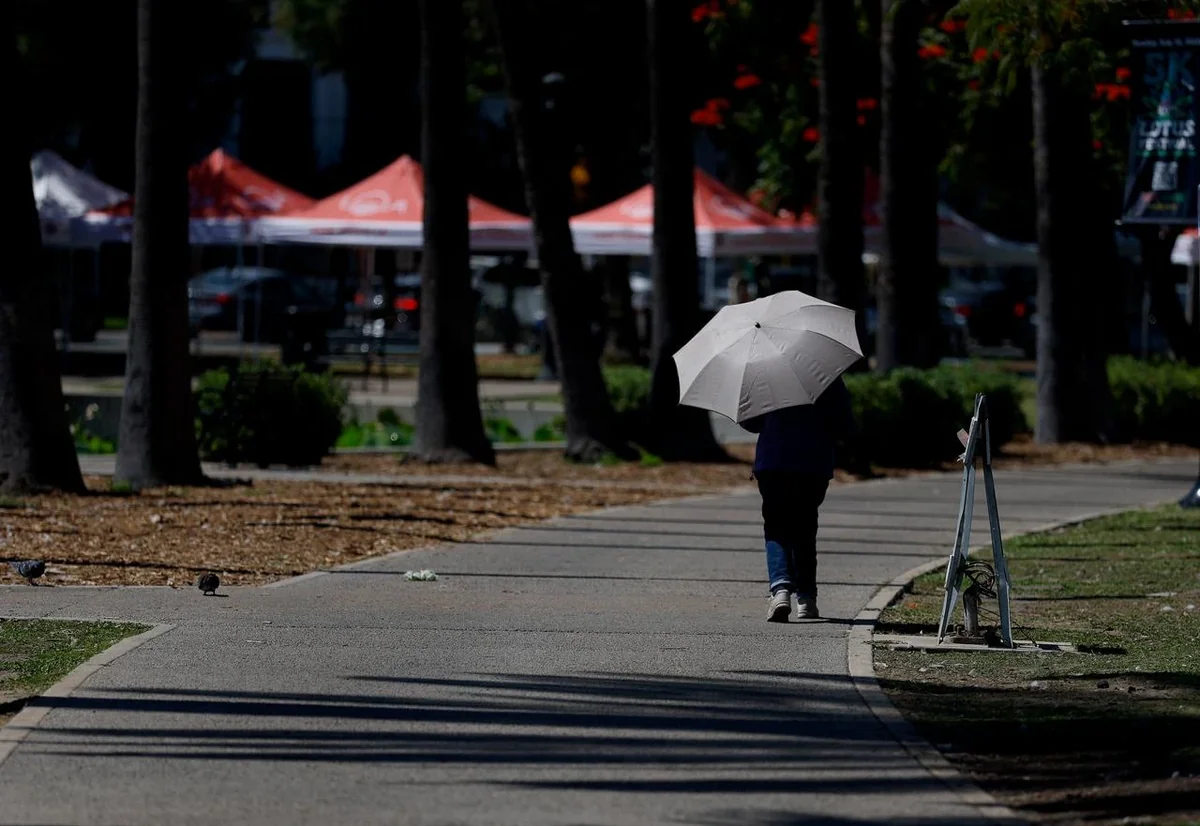 В Бельгии с июня до начала июля зарегистрировано 2 тыс. смертей в результате жары