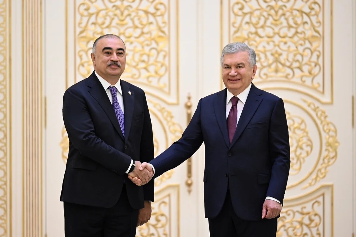 Azerbaijan's new ambassador presents credentials to Uzbek President Mirziyoyev