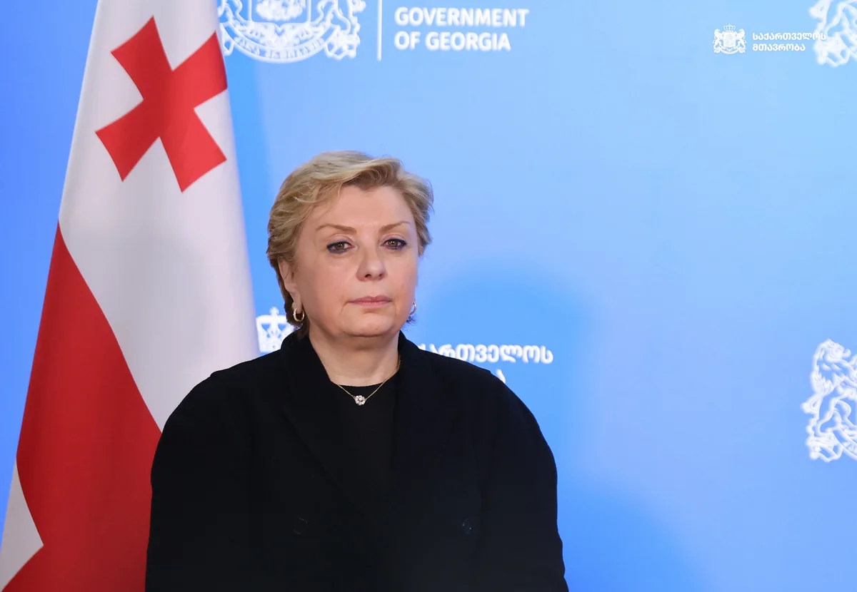 Gürcüstanın mədəniyyət naziri istefa verib