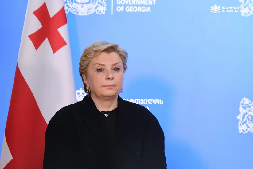 Министр культуры Грузии подала в отставку