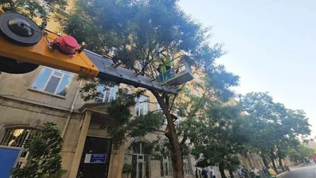 Bakıda dünəndən başlayan güclü külək 48 ağacı aşırıb, 63 budaq sınıb