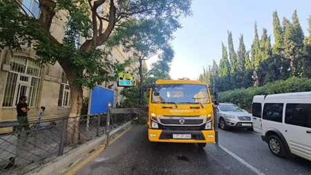 Bakıda dünəndən başlayan güclü külək 48 ağacı aşırıb, 63 budaq sınıb