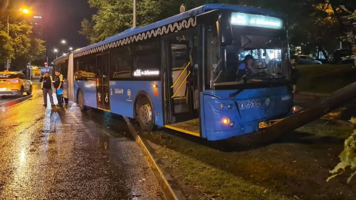 На юге Москвы автобус врезался в дерево, пострадали 17 человек