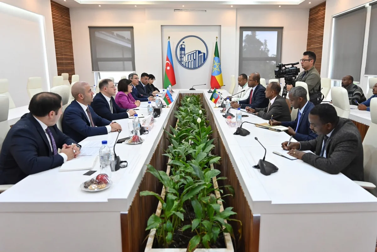 Azerbaijan, Ethiopia discuss expanding interparliamentary cooperation