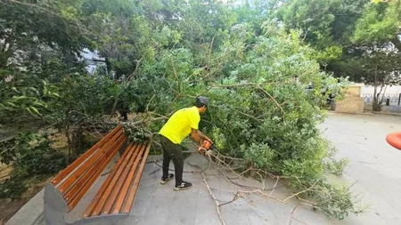 Bakıda dünəndən başlayan güclü külək 48 ağacı aşırıb, 63 budaq sınıb