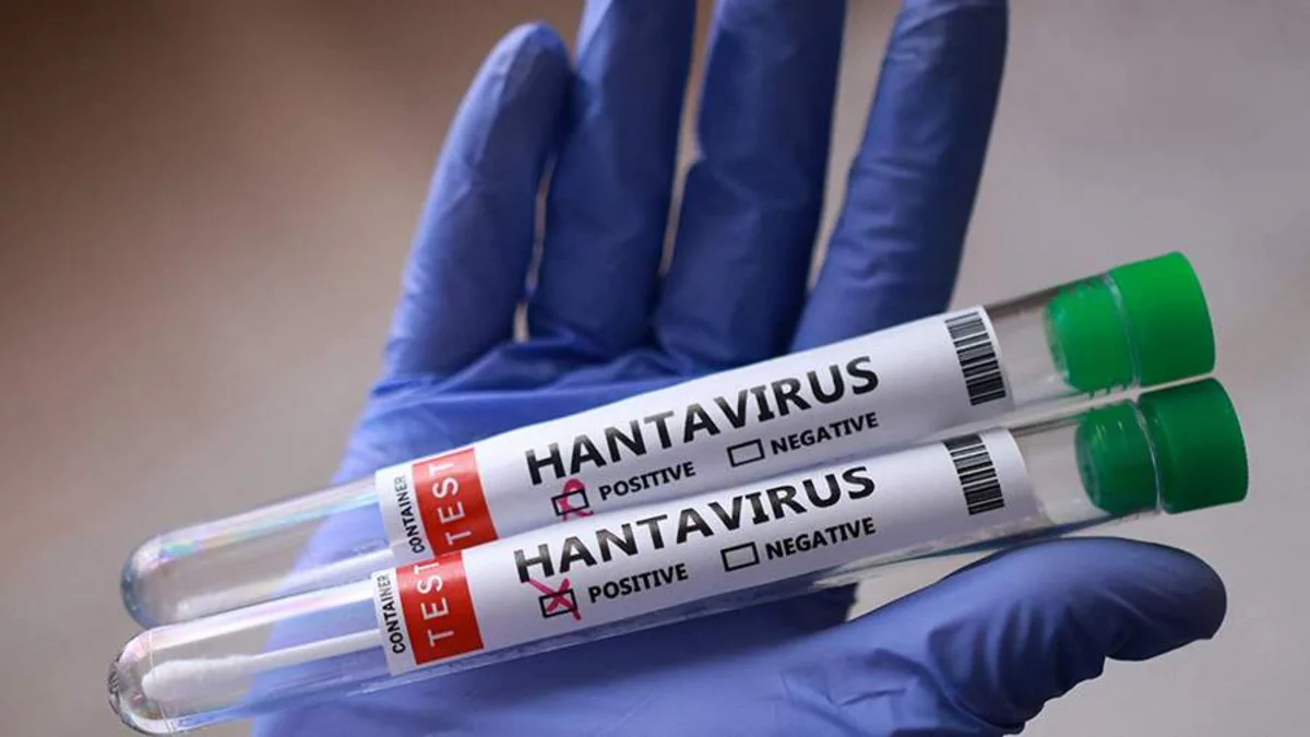 Chile declares health alert over hantavirus fatality rate