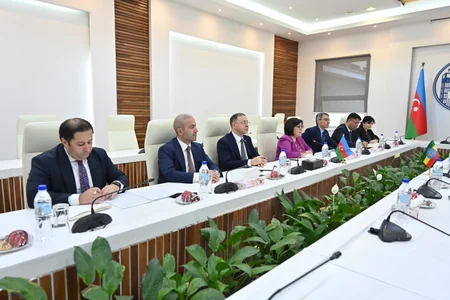 Azərbaycan və Efiopiya parlamentləri arasında əlaqələr müzakirə olunub