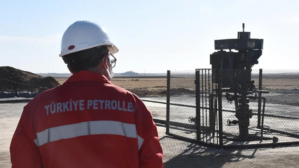 Türkiye Petrolleri приобрела 15% акций дочки BP в Киркуке