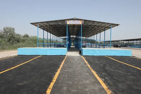 Sabirabad heyvan satışı bazarı fəaliyyətə başlayıb