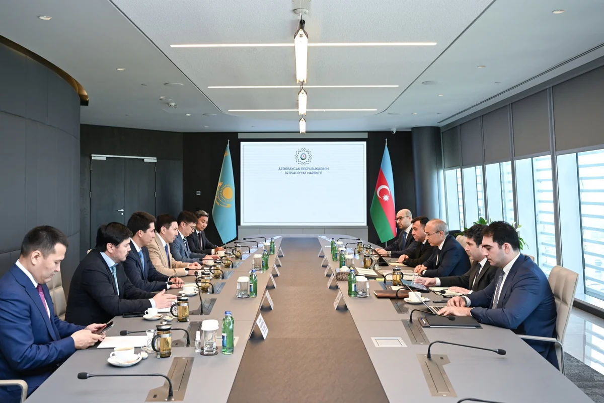 Azerbaijan, Kazakhstan discuss expanding joint investment activities