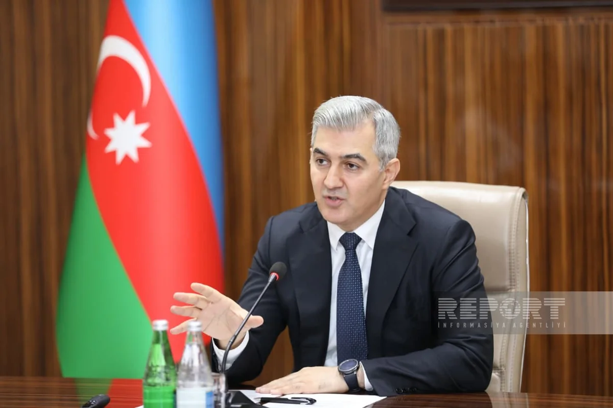 Vüsal Hüseynov: Azərbaycanda qanunsuz miqrasiya idarəolunan həddədir