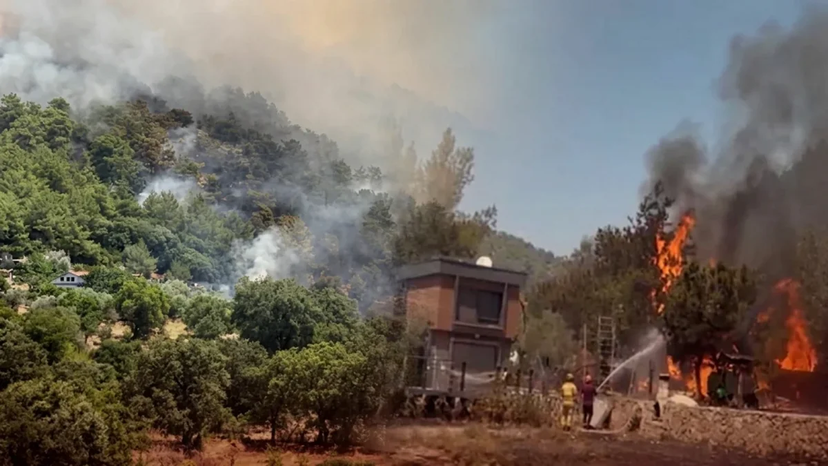 Türkiye deploys more resources as wildfires spread