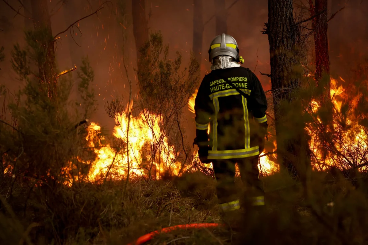 France detains 263 suspects in wildfire arson cases