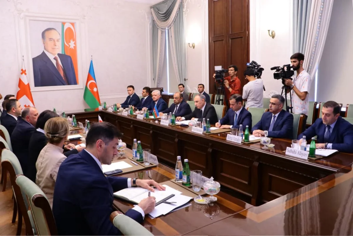 Georgian prosecutor general praises cooperation with Azerbaijan