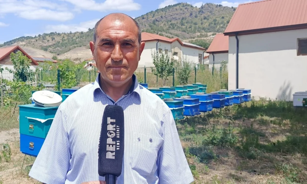 Laçın sakini: Arıçılıq təsərrüfatımı genişləndirməyi planlaşdırıram