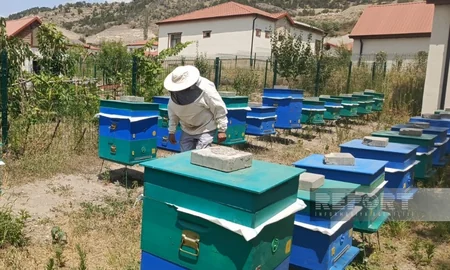 Laçın sakini: Arıçılıq təsərrüfatımı genişləndirməyi planlaşdırıram