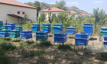 Laçın sakini: Arıçılıq təsərrüfatımı genişləndirməyi planlaşdırıram