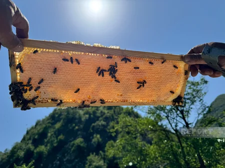 Kəlbəcərin Zar kəndində Böyük Qayıdışa hazırlıq işləri davam etdirilir
