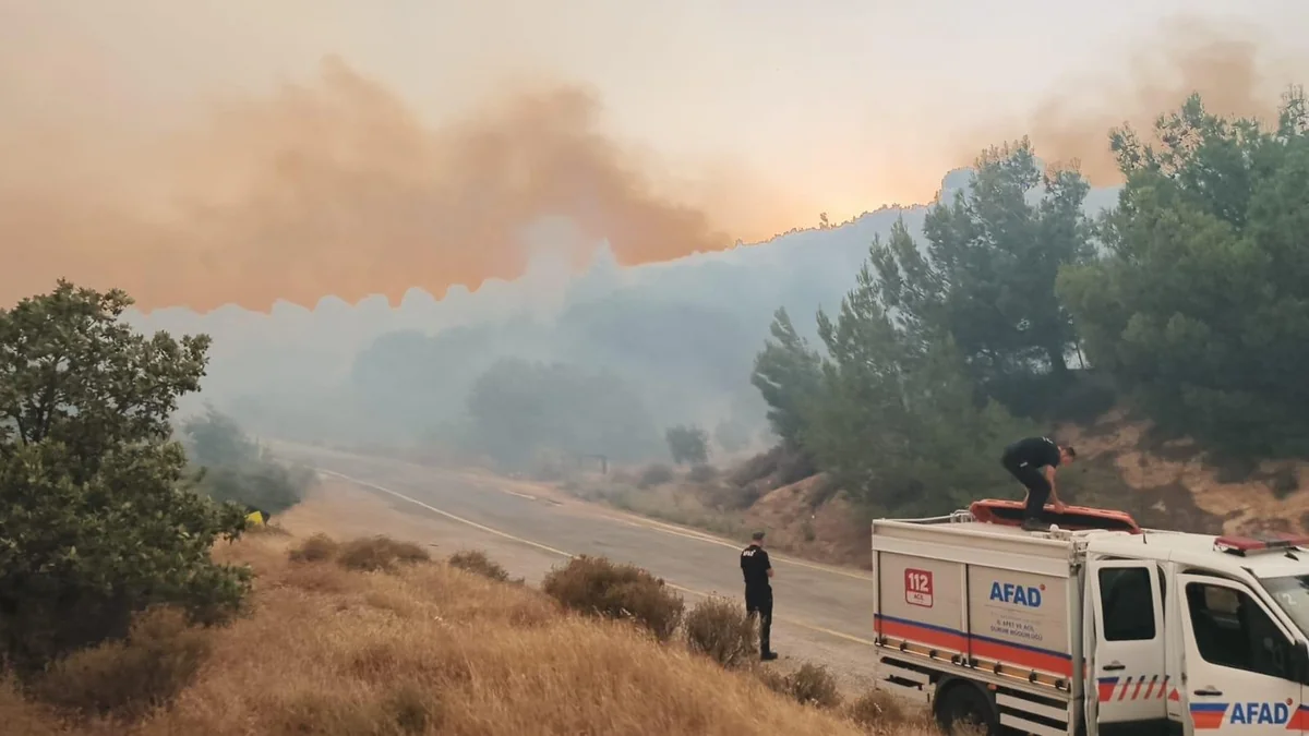 Wildfires spread across nine provinces in Türkiye