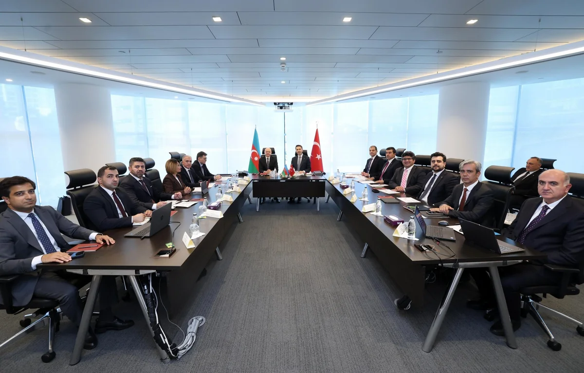 Azerbaijan, Türkiye discuss alternative regional interconnector projects