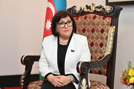 Milli Məclis ilə Pan-Afrika Parlamenti arasında əməkdaşlıq müzakirə olunub