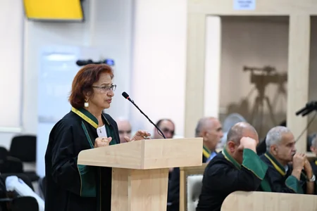 Appellate court panel retires to deliberate on appeals of Armenian citizens