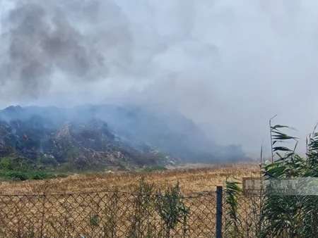 Masallıda zibil poliqonu yanır, əkin sahələri üçün təhlükə yaranıb