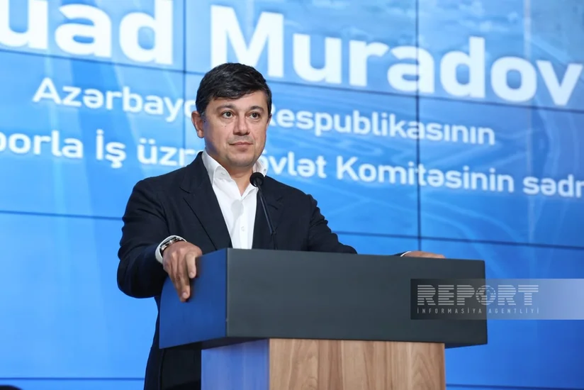 Komitə sədri xaricdə yaşayan azərbaycanlı gənclərə çağırış edib