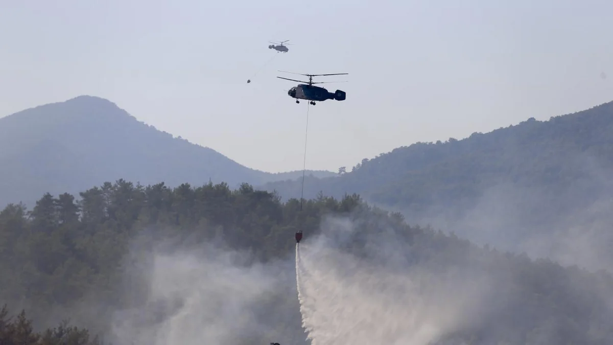 Türkiyədə davam edən meşə yanğınları nəzarətə götürülüb