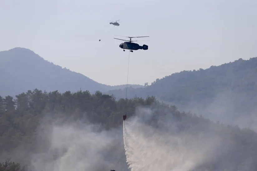 Türkiyədə davam edən meşə yanğınları nəzarətə götürülüb