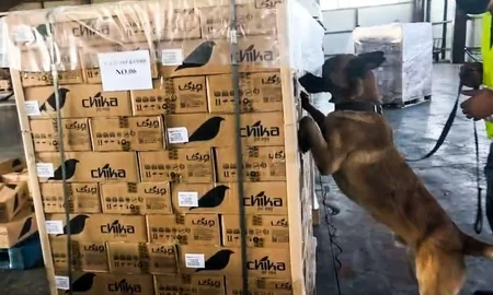 İrandan Azərbaycana 113 kq-a yaxın heroin keçirilməsinin qarşısı alınıb