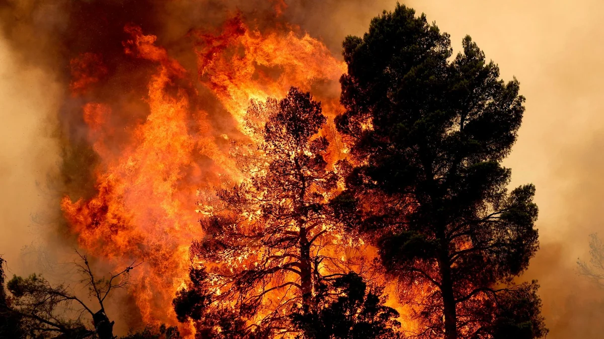 Damage from wildfires in Europe exceeds €3 billion