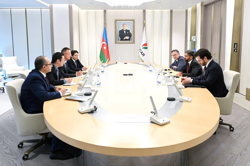 SOCAR, BYD discuss cooperation on renewable energy technologies