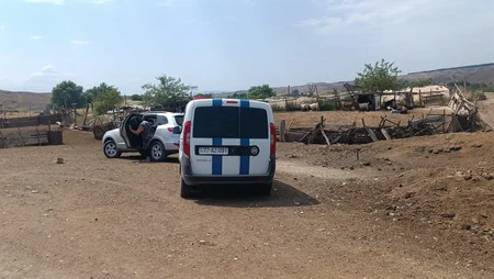 Tovuz sakini 65 yaşlı bibisini qətlə yetirib, cinayət işi açılıb - YENİLƏNİB
