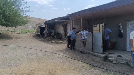 Tovuz sakini 65 yaşlı bibisini qətlə yetirib, cinayət işi açılıb - YENİLƏNİB