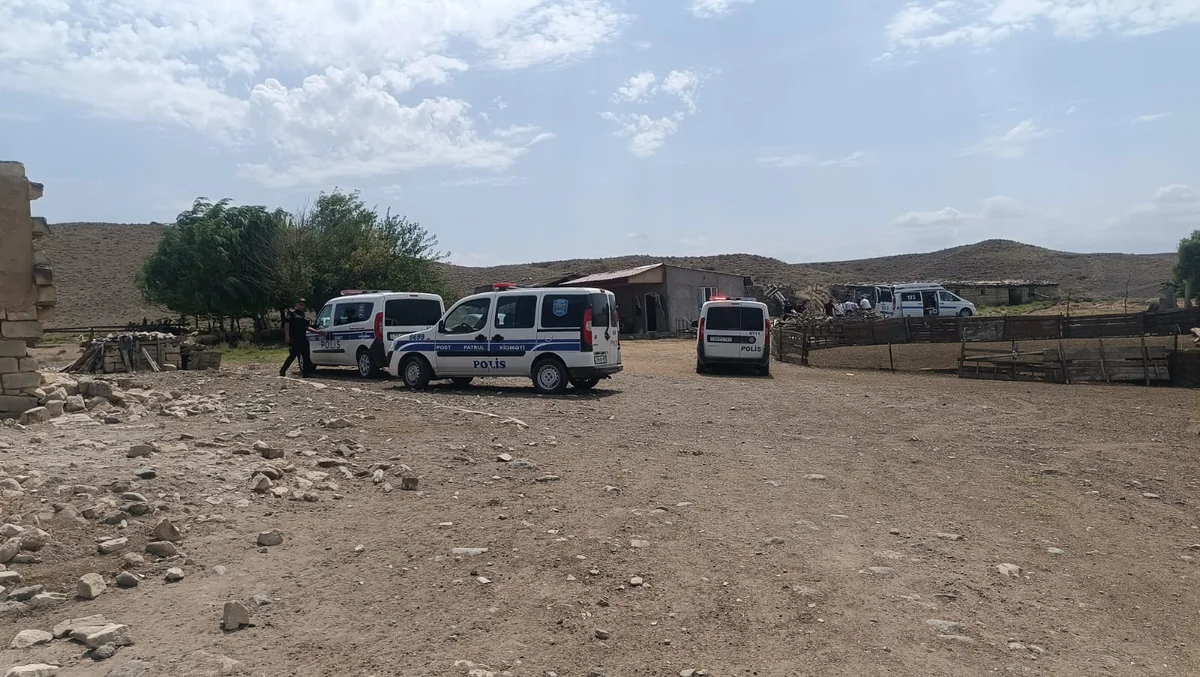 Tovuz sakini 65 yaşlı bibisini qətlə yetirib, cinayət işi açılıb - YENİLƏNİB