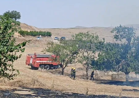 Cəlilabadda iki evin həyətyanı sahəsi yanıb